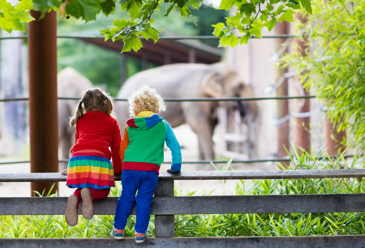 Zoos near me at The Cove at Sylvan Beach